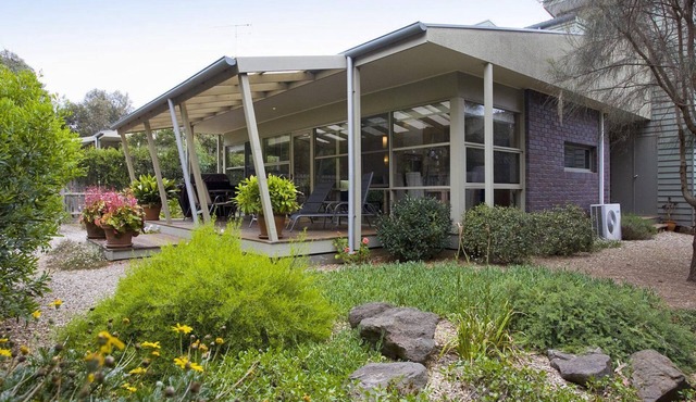 Purfect Purnell - Anglesea