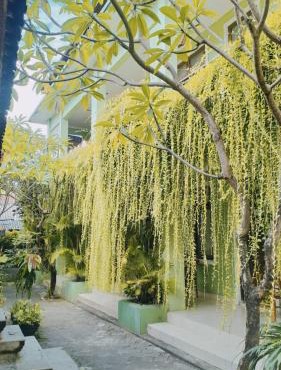 PURNAMA HOUSE KUTA