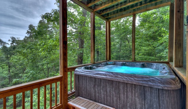 Pursuit of Happiness - Mountain luxury, hot tub, big-screen TVs, pet-friendly