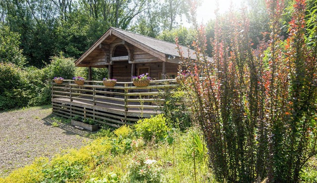 Pwll Cabin, Holiday Home Marros, Sleeps 2, 1 bedrooms, bathrooms