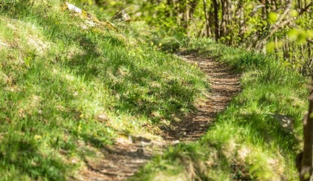 PY nature reserve, House with character