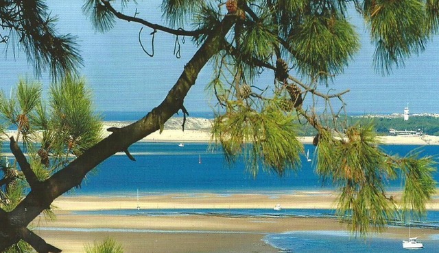 Pyla Sur Mer: House/Villa - Pyla sur mer