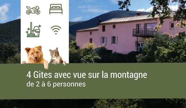 Pyrénées Mon Amour