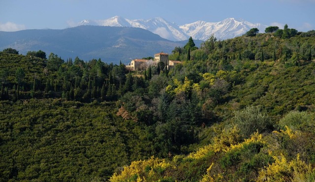 Pyrenean Paradise - Stunning 10 Bedroom House - Sleeps 23+