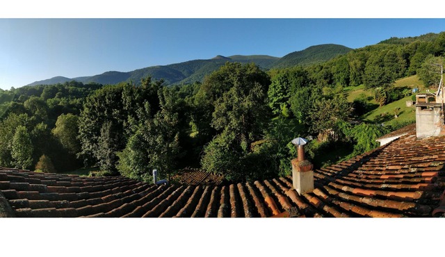 Pyrenees hideaway, two family house