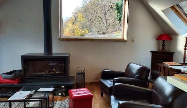 Pyrenees house, sleeps 2/12: SKIING, HIKING, FISHING. WIFI