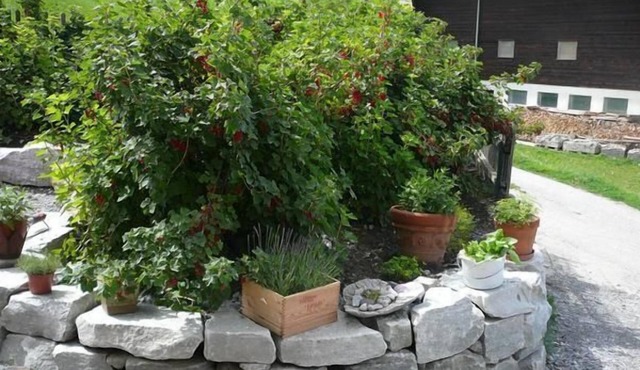 Quadra farm