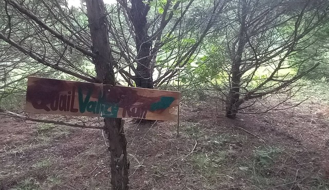 Quail Valley Run @ B Berry Farms