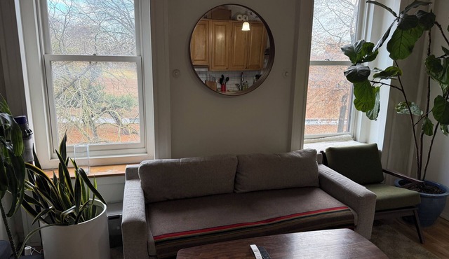 Quaint 1-bedroom apartment in best Brooklyn neighborhood. Stunning view of park.