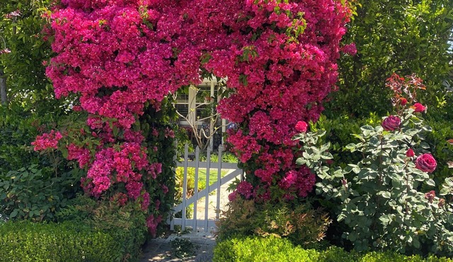 Quaint 1-bedroom bed & breakfast with AC in Los Angeles