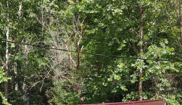 Quaint 1 Bedroom Retreat Cabin by the Creek