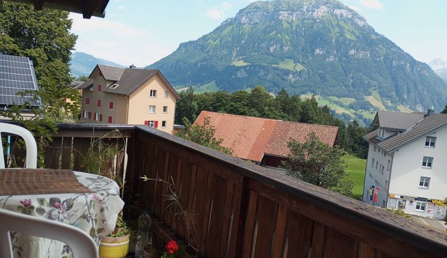 Quaint 2-bedroom condo in Seelisberg with stunning views