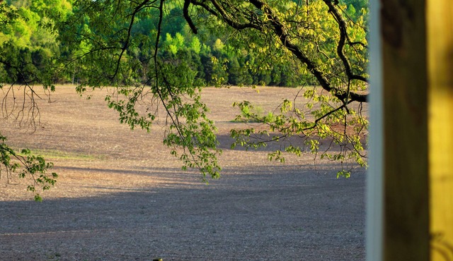 Quaint 2-bedroom home on an one acre lot in lovely Alvaton with AC and WiFi.