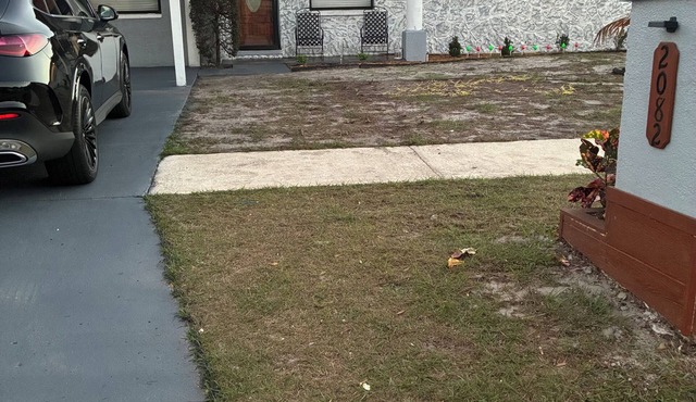 Quaint 3-bedroom house in sunny Tampa Florida, 13 mins from downtown/Ybor city.