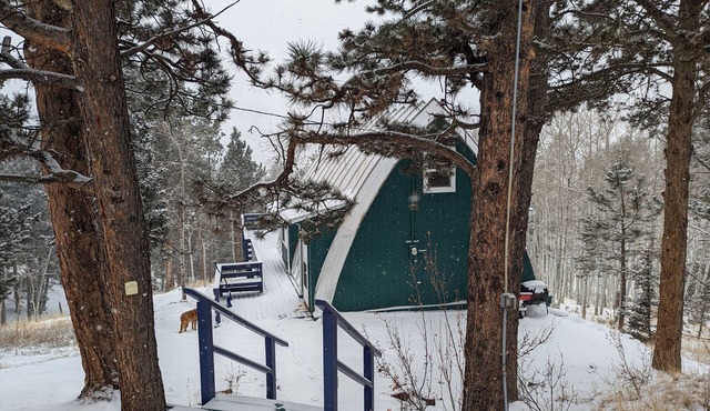 Quaint and quirky woodland cottage - 2 bedrooms 1 bath
