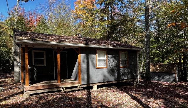 Quaint Cabin nestled in the woods