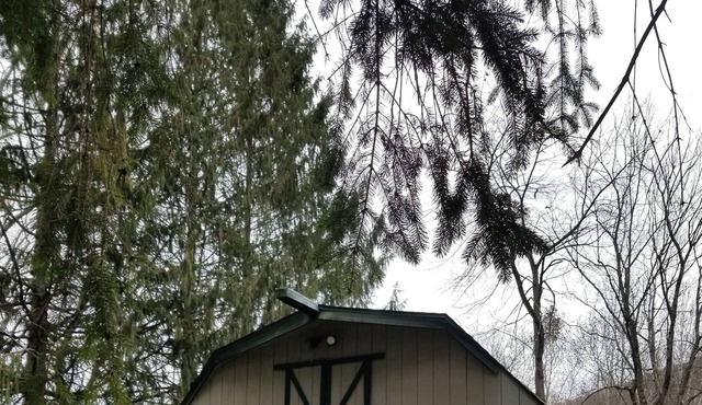 Quaint cottage close to rail trail and next to Pine Creek.