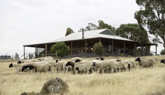Quaint Cottage on Country Victorian Farm, Overlooking Beautiful Vineyard