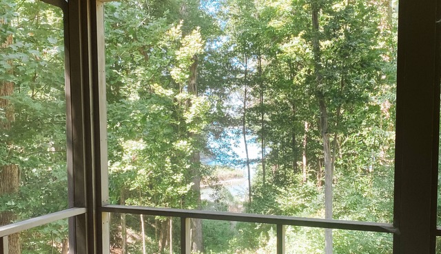 Quaint Cottage on Raccoon Lake with a Beautiful View