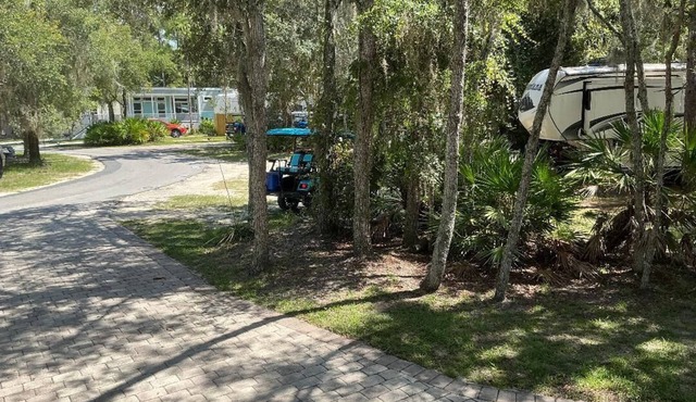 Quaint cottage tucked away in Crystal River. 1bed/1bath. Close to everything!