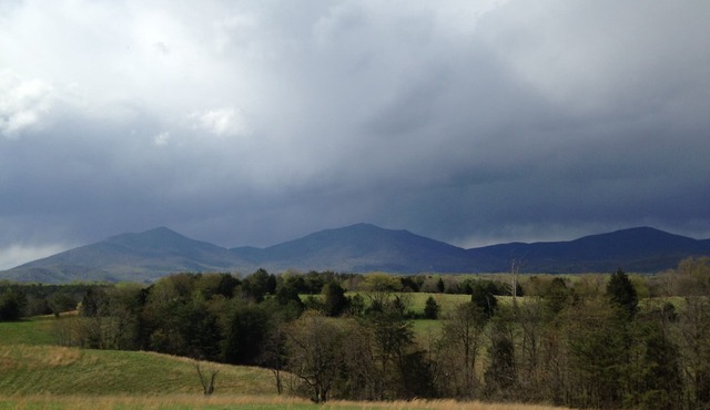 Quaint Cottage with Majestic Mountain Views - Close to Parkway & Lynchburg