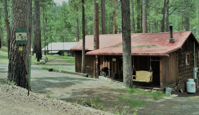 QUAINT COZY CABIN near East Fork, weekly and monthly rates, king bed, fireplace