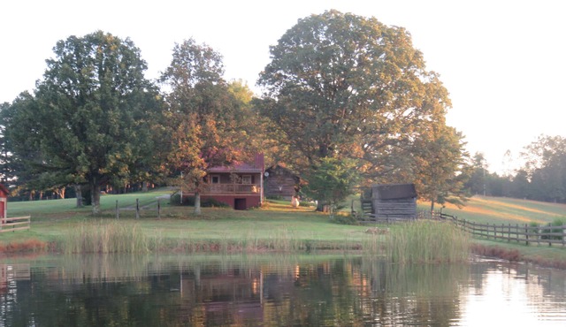 Quaint, Cozy, Comfortable Cabin W/ HotTub, Big Backyard, Pond, Pet Friendly