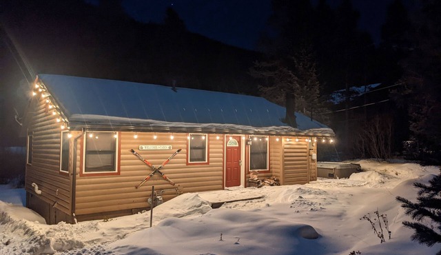 Quaint Dog Friendly Cabin with private sauna and hot tub 7 minutes from Breck