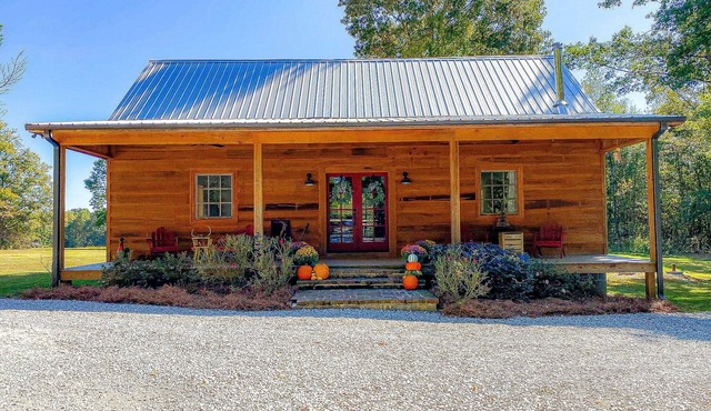 Quaint Little Cabin with a view.