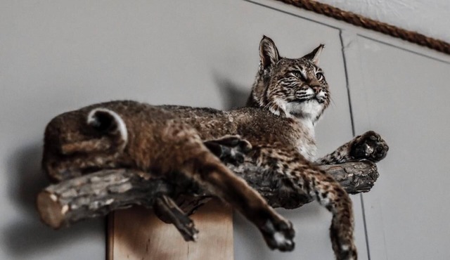Quaint Motel Room near Blue Ribbon Fly Fishing on Missouri River