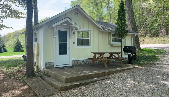 Quaint Northport cabin with a short walking distance to village.