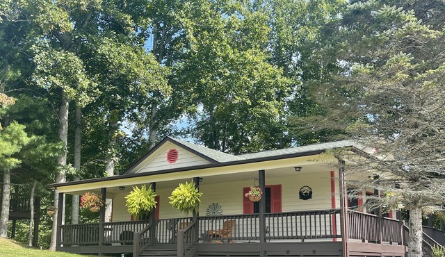 Quaint Piney Creek cabin with wrap-around deck will restore you!