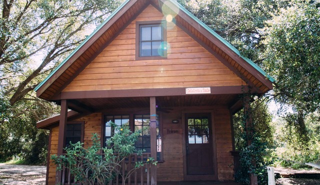 Quaint rustic cabin, newly remodeled!