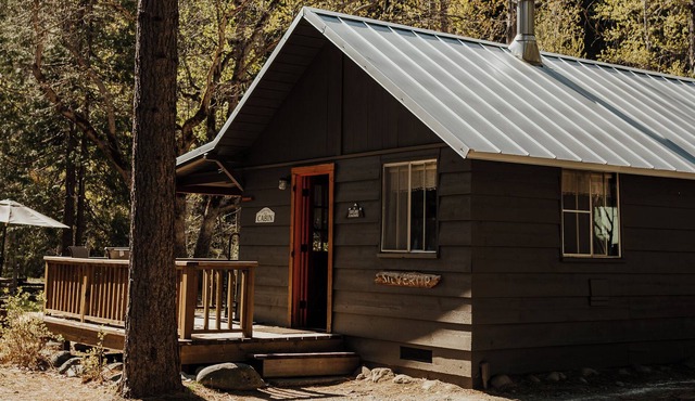 Quaint Silvertip Cabin on Coffee Creek in Trinity Alps