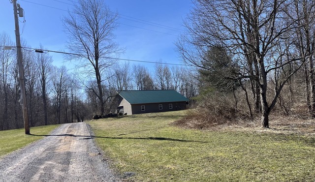 Quaint whole house, very private , fireplace, pet friendly, 30 min. to ADK park