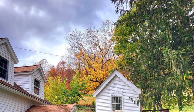 Quaint writer's nook on the river amongst Appalachian tranquility. Pet friendly!