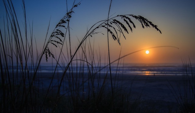 Quality Inn & Suites St Augustine Beach Area