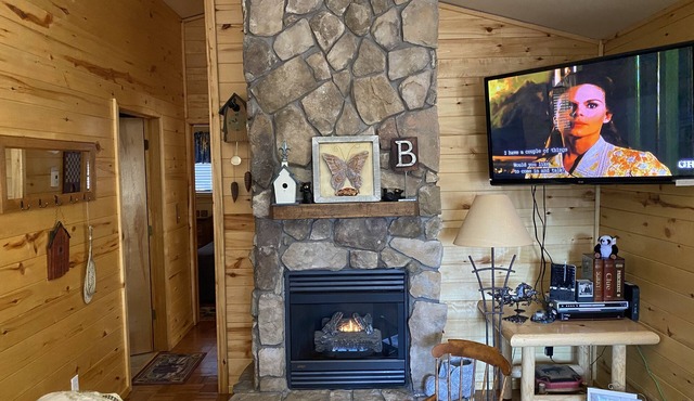 Quality Time at a LilyBear Cabin