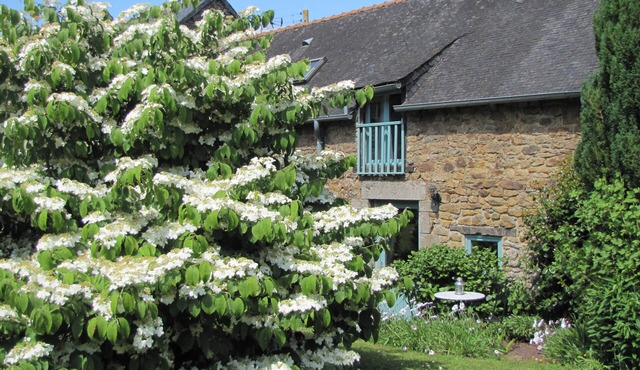 Quality Traditional Gite for 2 in Gomene central Brittany - HEATED pool & WIFI