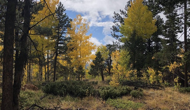 Quartz Point Ranch: 20 beautiful acres to roam!