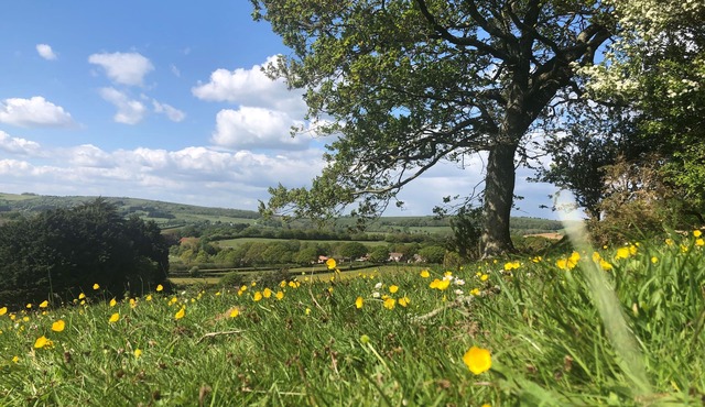 Queen Bower Farm Lodge - a bungalow that sleeps 4 guests in 3 bedrooms