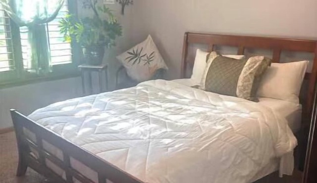 Queen Guest Bed