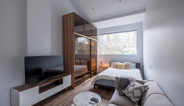Queen size loft in nature right in the city
