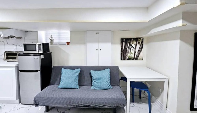 Queen West Toronto Basement Unit