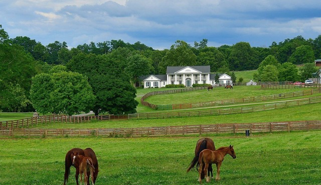 Queenslake Mansion and Horse Farm