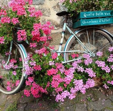 'Quelle Belle Vue' Chambre d'Hote