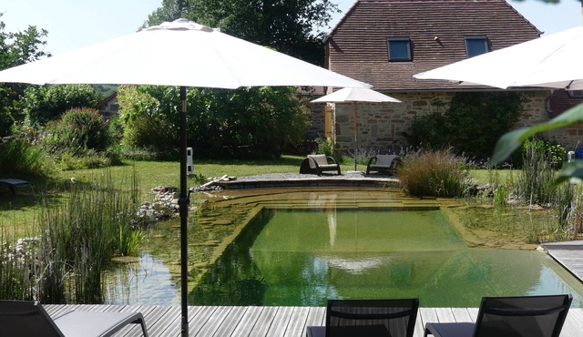 Quercy cottage, charm, comfort, garden with trees, natural swimming pool