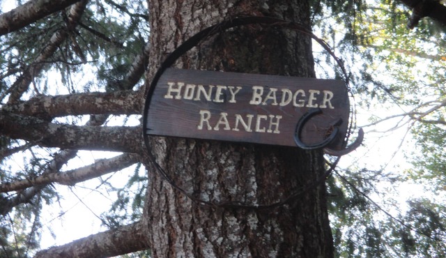 Quiet 1 bedroom cabin located on the South Fork of the Coquille River