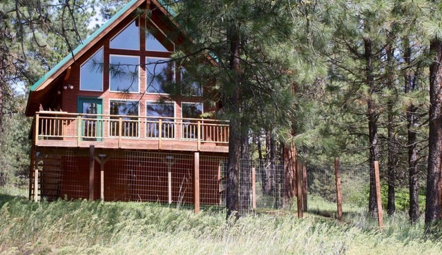 Quiet 1 BR + loft cabin great for weekend getaways & stargazing. Pet Friendly!