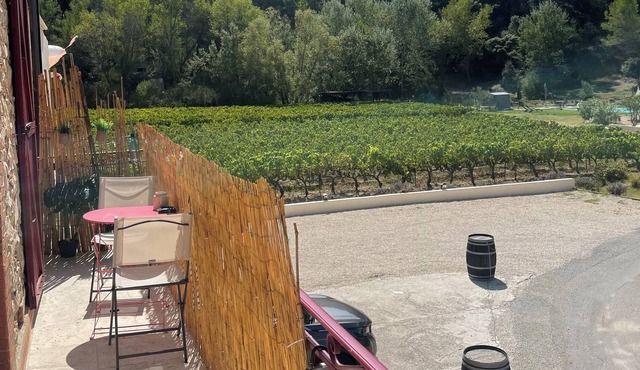 Quiet 2 to 6 person apartment in the middle of the Gigondas vineyards